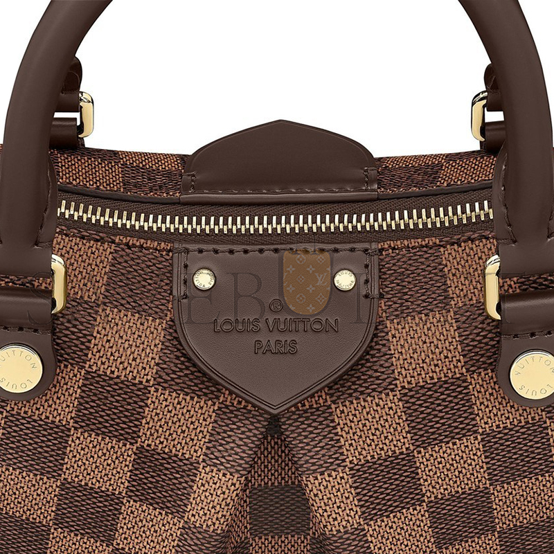 LOUIS VUITTON SIENA MM N41545 (30*21*12cm)